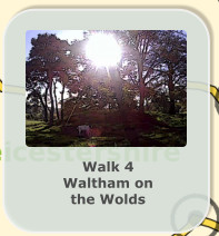 Walk 4 Waltham on the Wolds